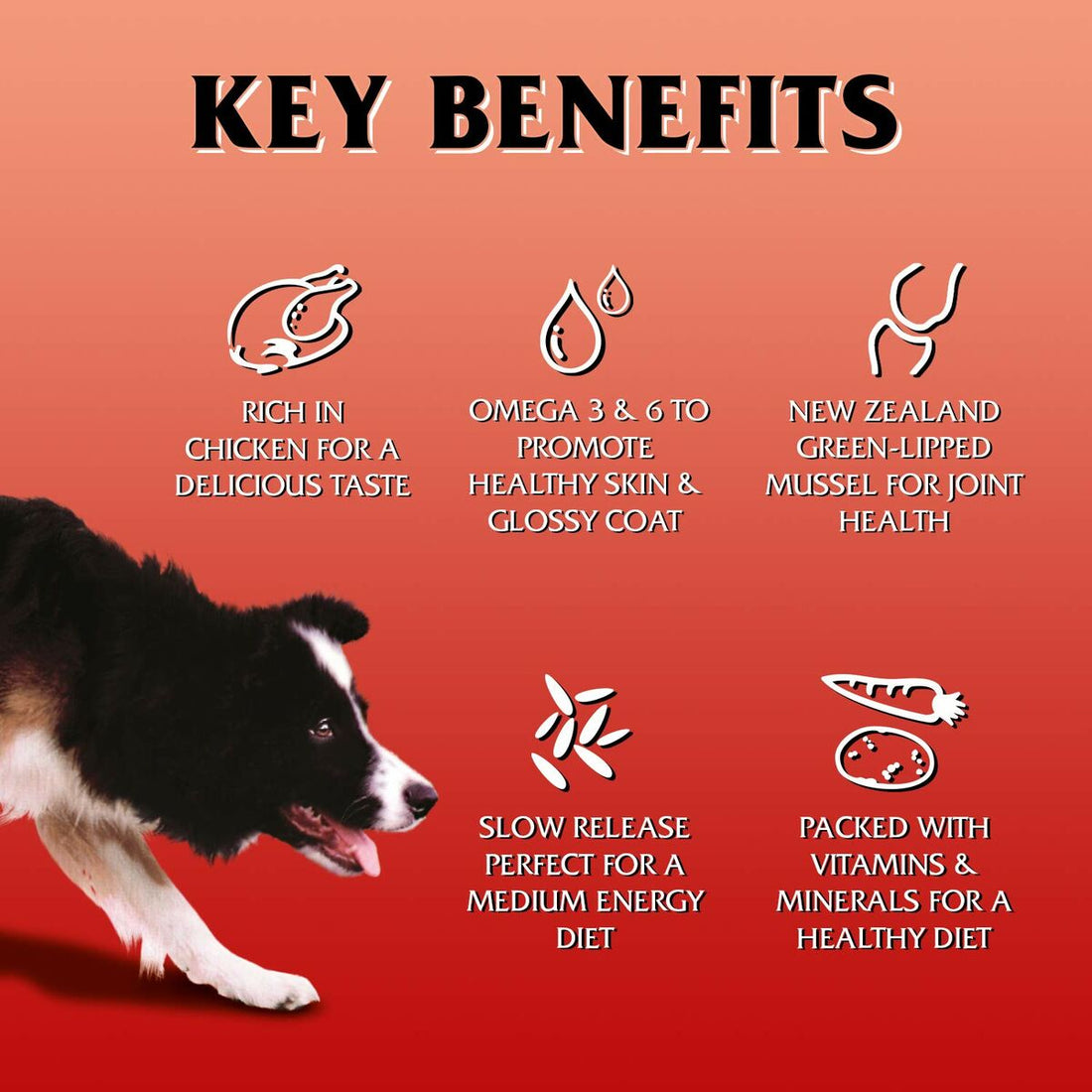 V4HB859A960EFF043FA4EB0776AD84C1113R6450381P2