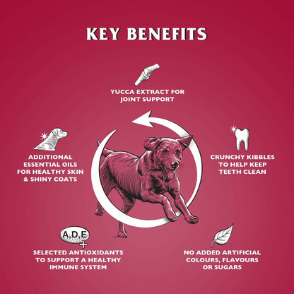 V4HE538C62AB43F611F584ED34481DB2608R6450252P2