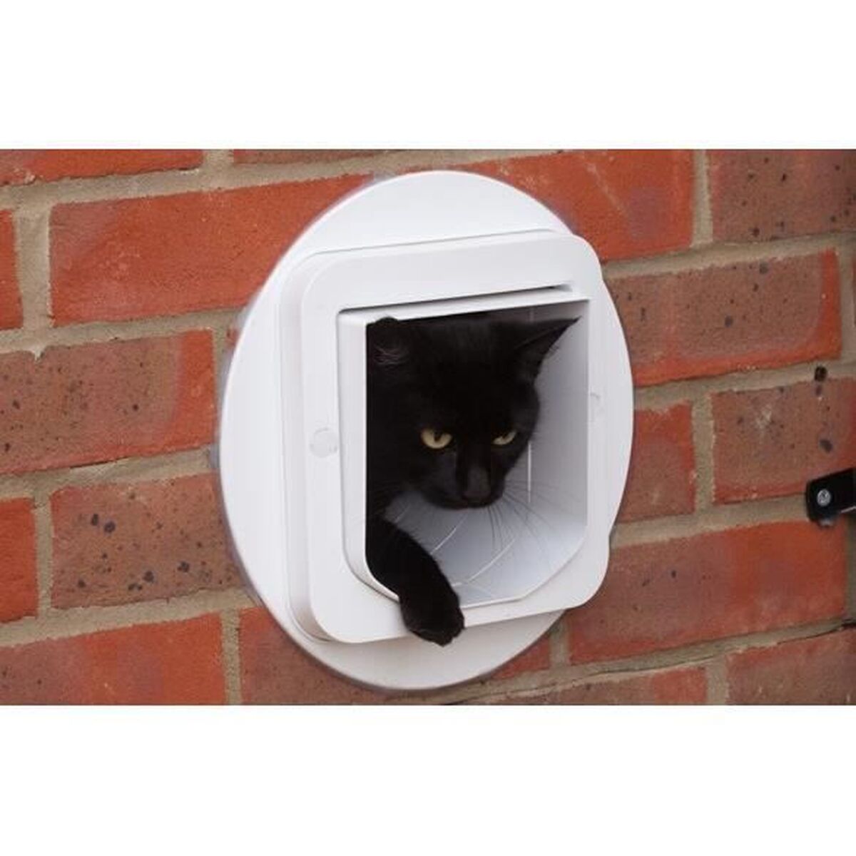 V12H07A723A9A58F60B09DA05E411A6A8711R7391567P4