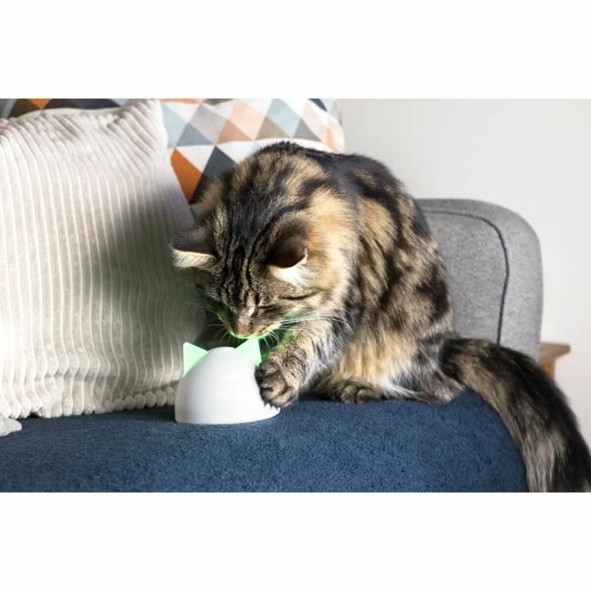 V7H1BDC6716293BC65F4D66B6769804C1FCR5304064P5