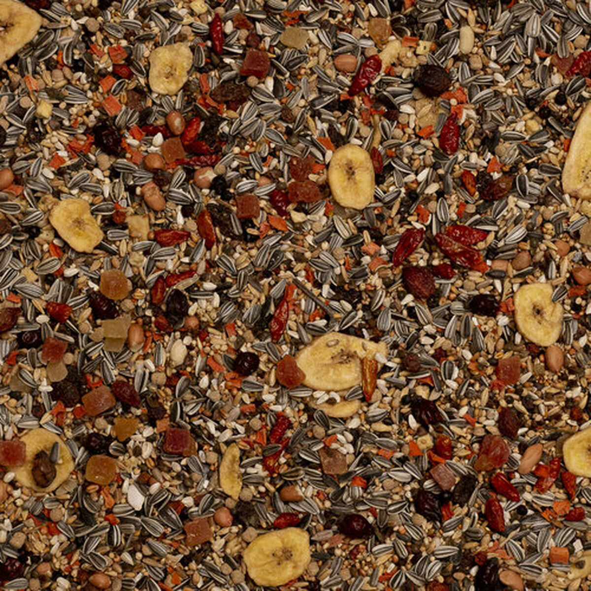 V6H1B1001C35BCD25DA7C52F5A0E0190F7BR7450593P4