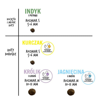 V4H80991382183693B3C409420AB15A8218R6454160P2