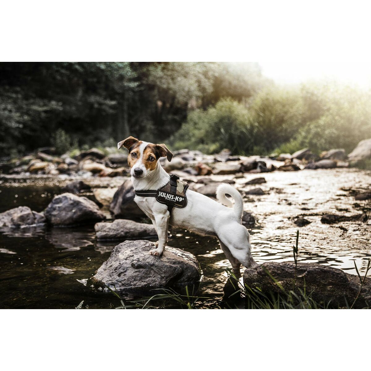 V6H375E0D228A376AECF9E38761A2306C81R7451371P8