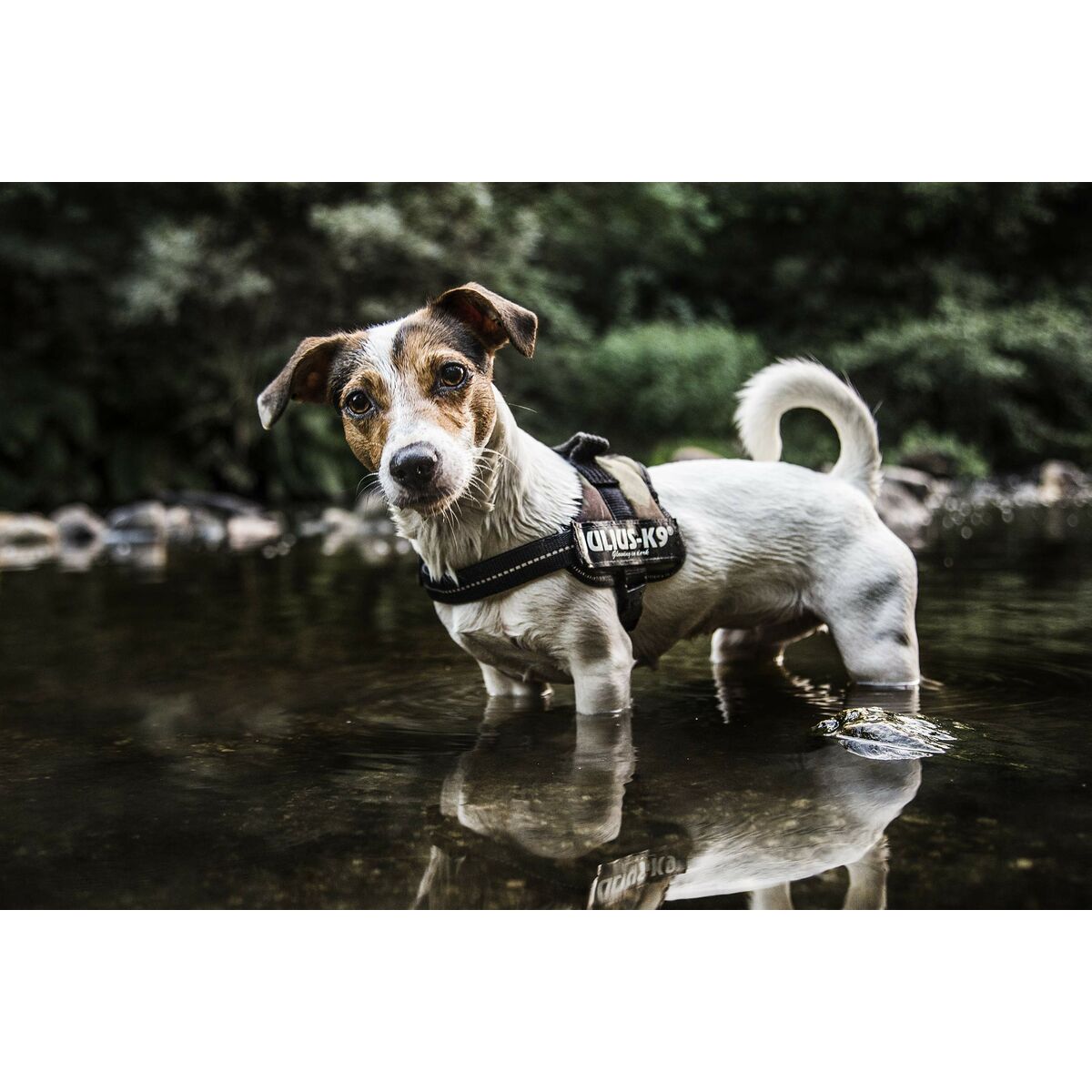 V6HBEDACE6499A611233F1ECA063E490D3DR7444350P8