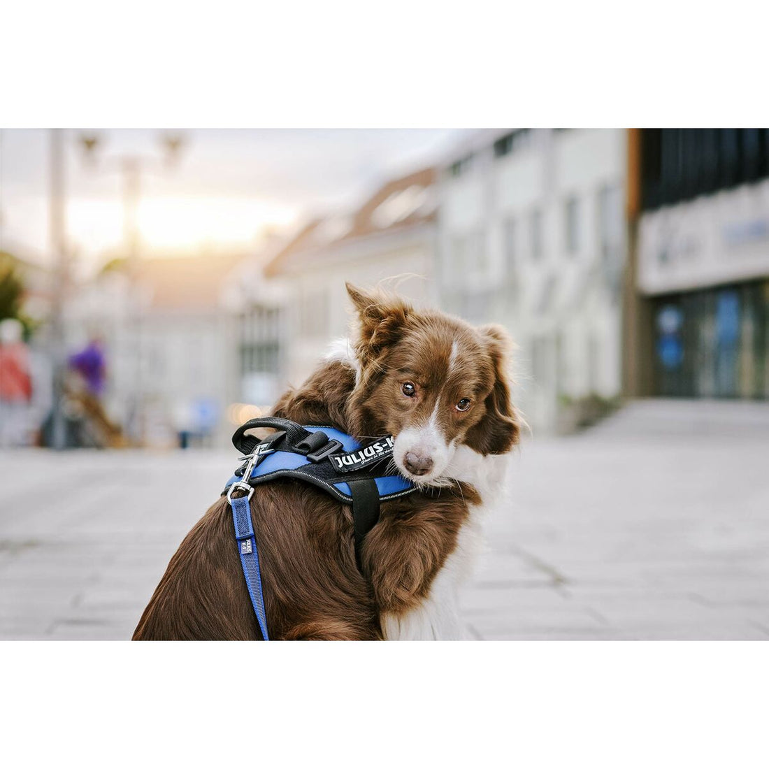 V6H104BFB5CE4C87D6C204F951C8E80D23ER5333060P2