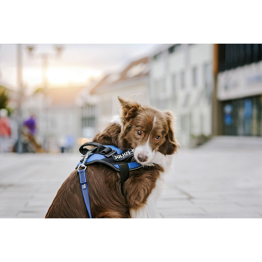 V7HBBD81D308D21147CD584823E5C7BA786R5333052P2