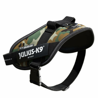 V6H624AA45F9E949A83B4396F16D9D66025R7445064P4