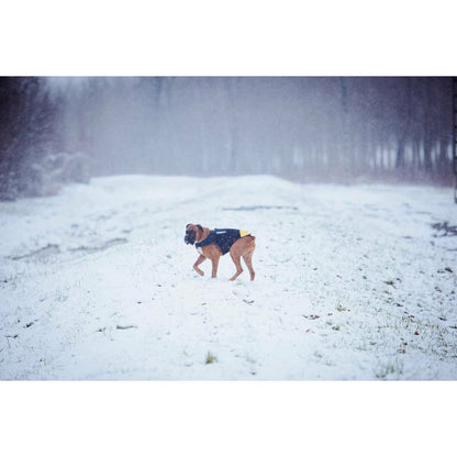 V6H4022C0BBEF08A5F2EFD3802D81FC5343R7445350P2