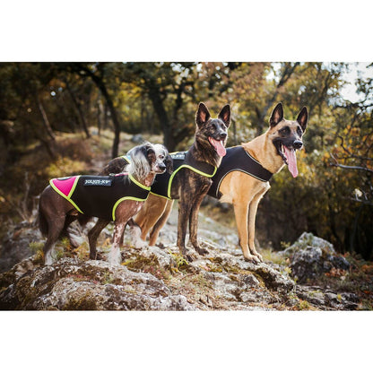 V6H40232FB6CEDCF54087653F620EEDCC81R7445364P5