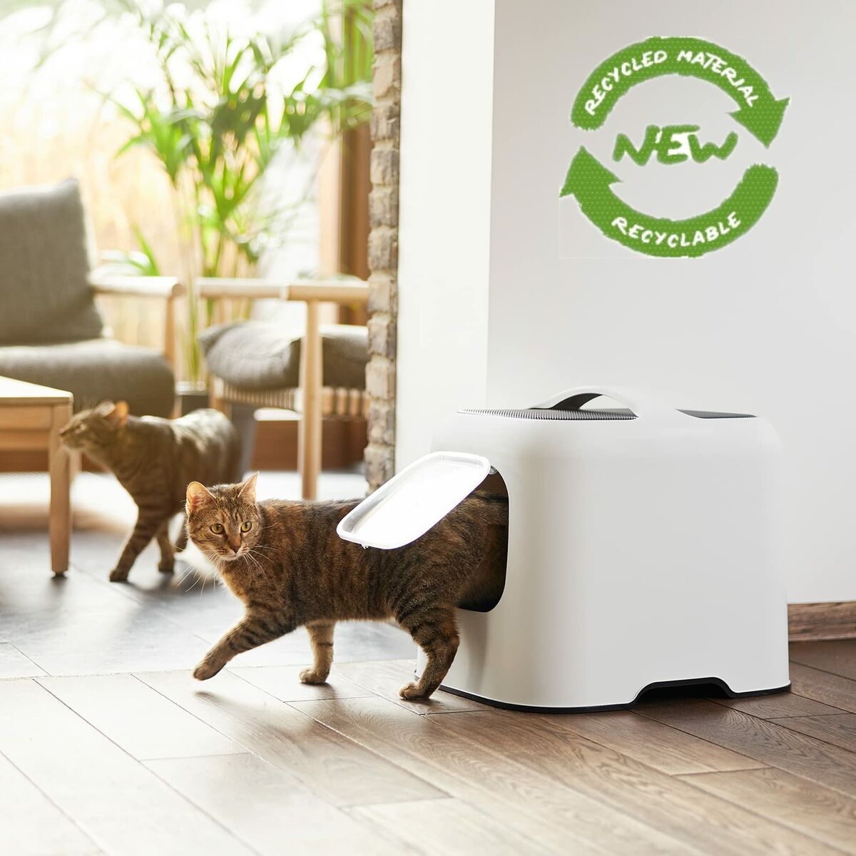 V7H7D6FA3167357B5A934FA2644B95694E1R6578767P7