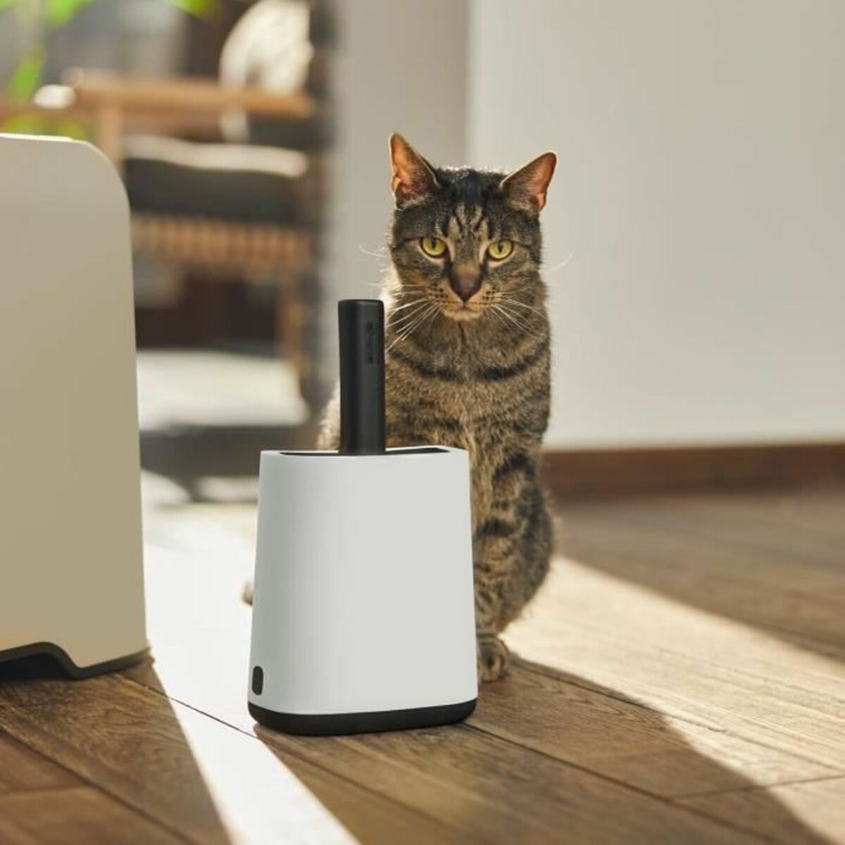 V5H8F9515A23FDDDEE9BEBE0C2C6F3D9200R5405260P2