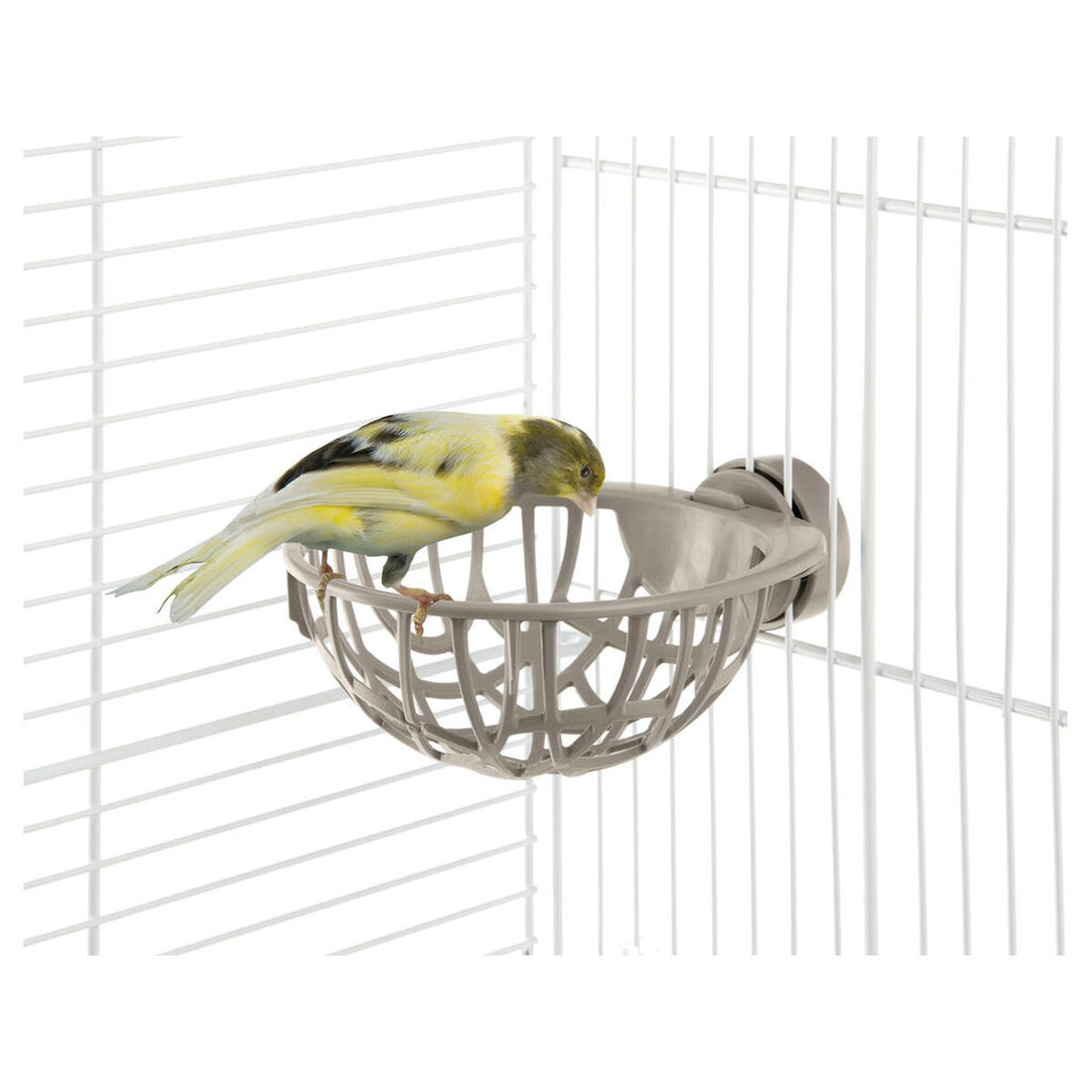 V5HA647752BA5A5AE7E340D243B42B28D5AR7450343P1