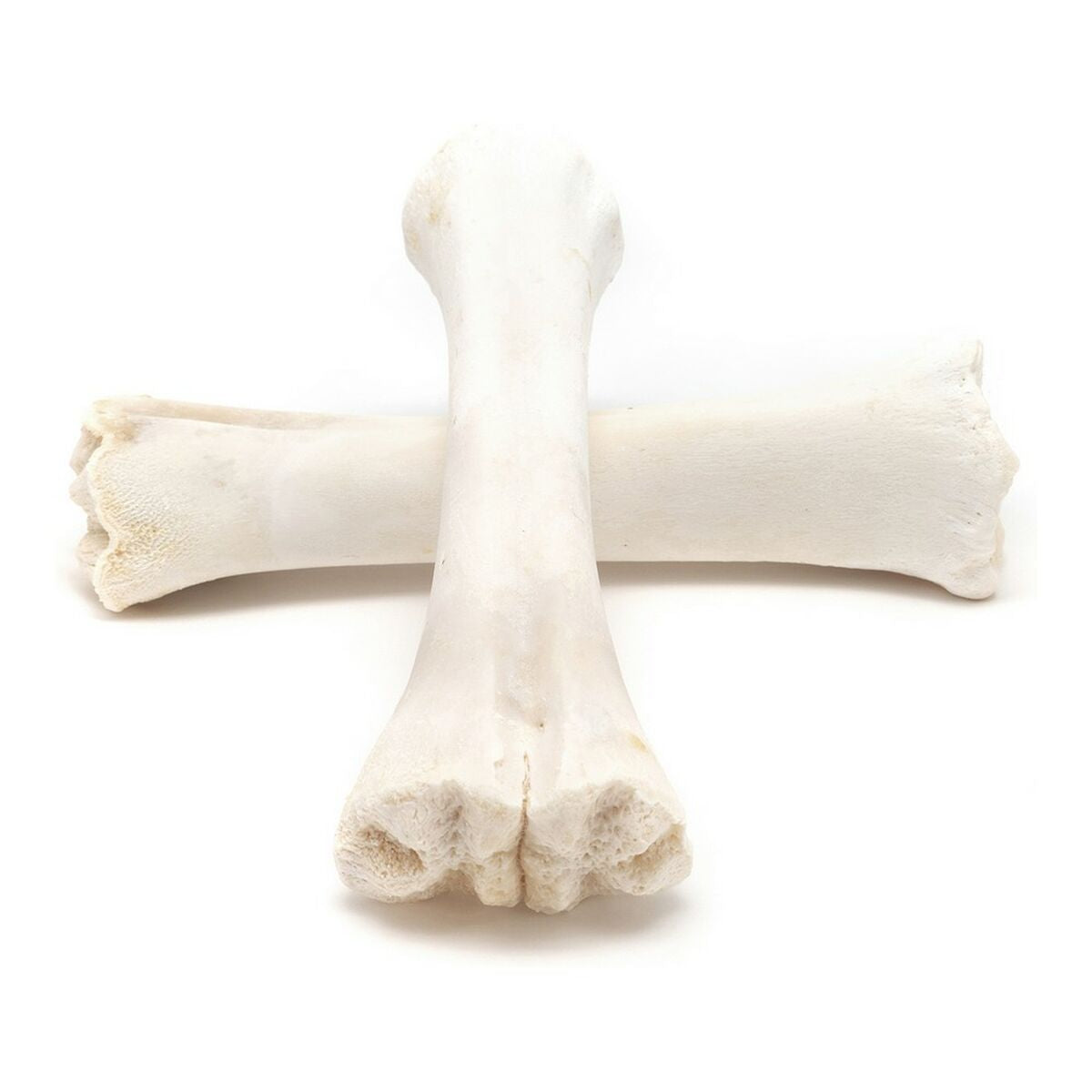 V10H263F2BC54316C221672640D82222FDF2R3891360P3