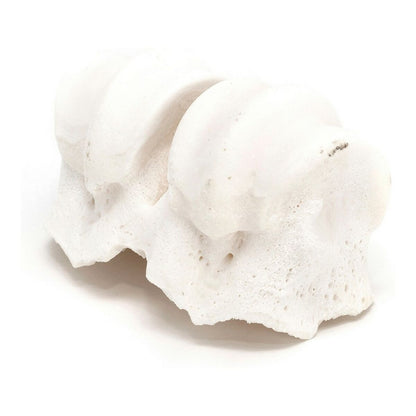 V11HED0B4C38EE8532FA23B93A47B1DCA0BER3891368P2