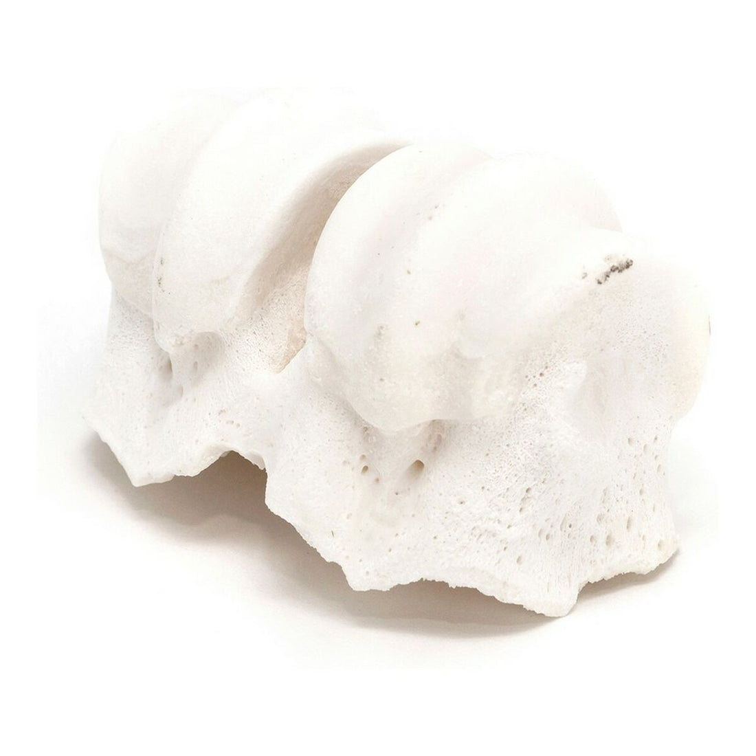 V11HED0B4C38EE8532FA23B93A47B1DCA0BER3891368P2