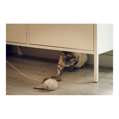 V11H116D63D9AB48F09DCFB032DED6C63E44R5597786P6