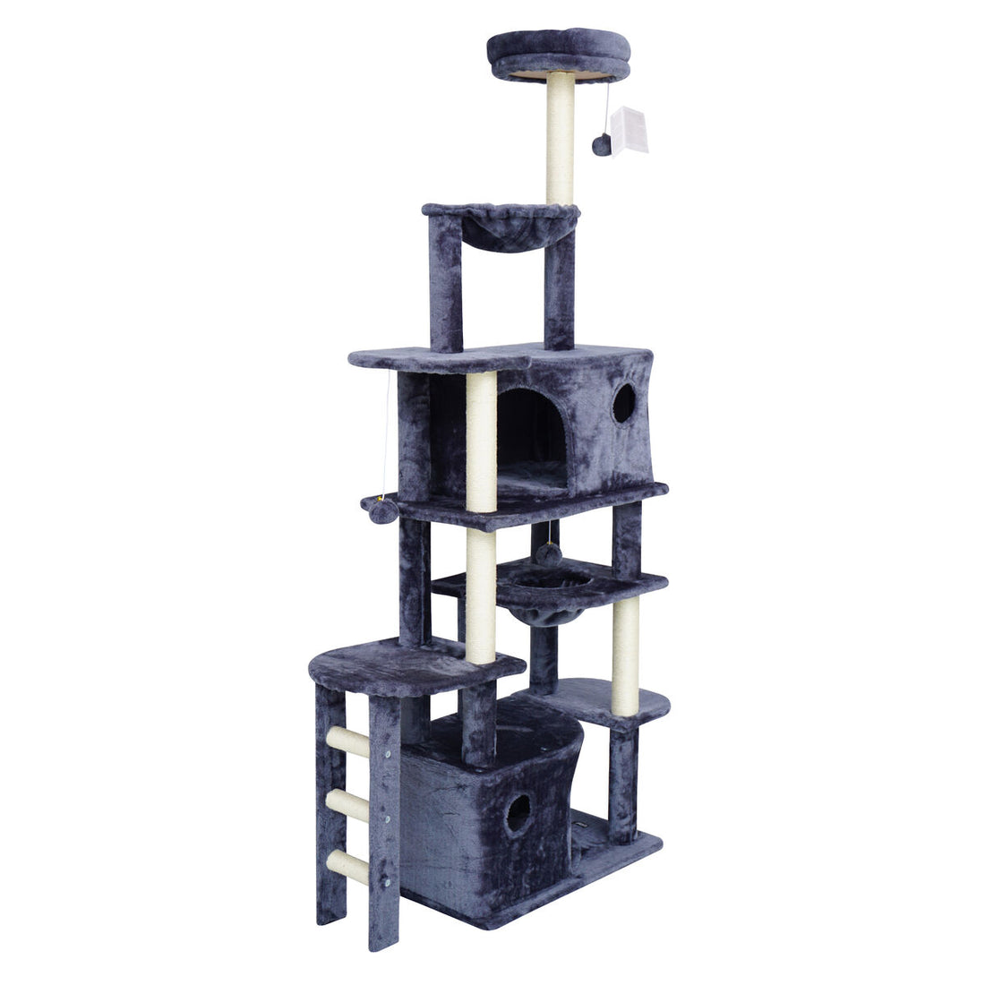 V5H8A3B7FF0EEF9ED8AA8B150415E554F1BR5554687P1