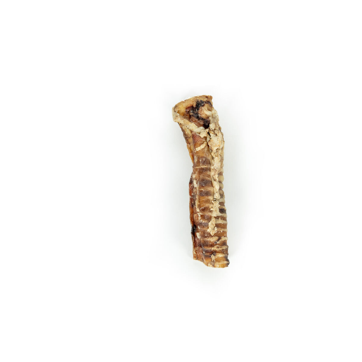 V6H38B3B2BBC8BF20481A119D1BAE88CE9FR4975265P5