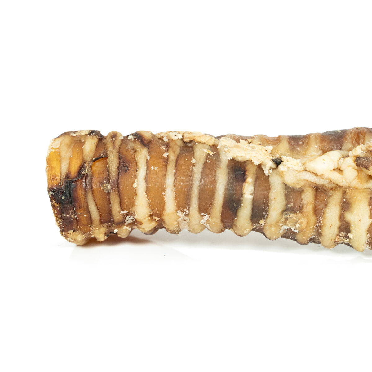 V5H02592850E06A51F94DBD730B7E4F9AE9R4975264P4