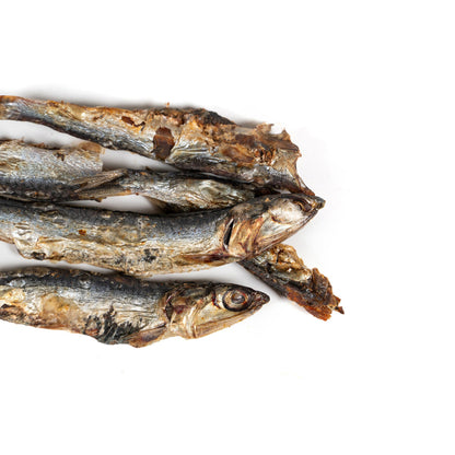 V4H00BD90004CA1ACB8B3E5341372CCF9C5R5293013P5