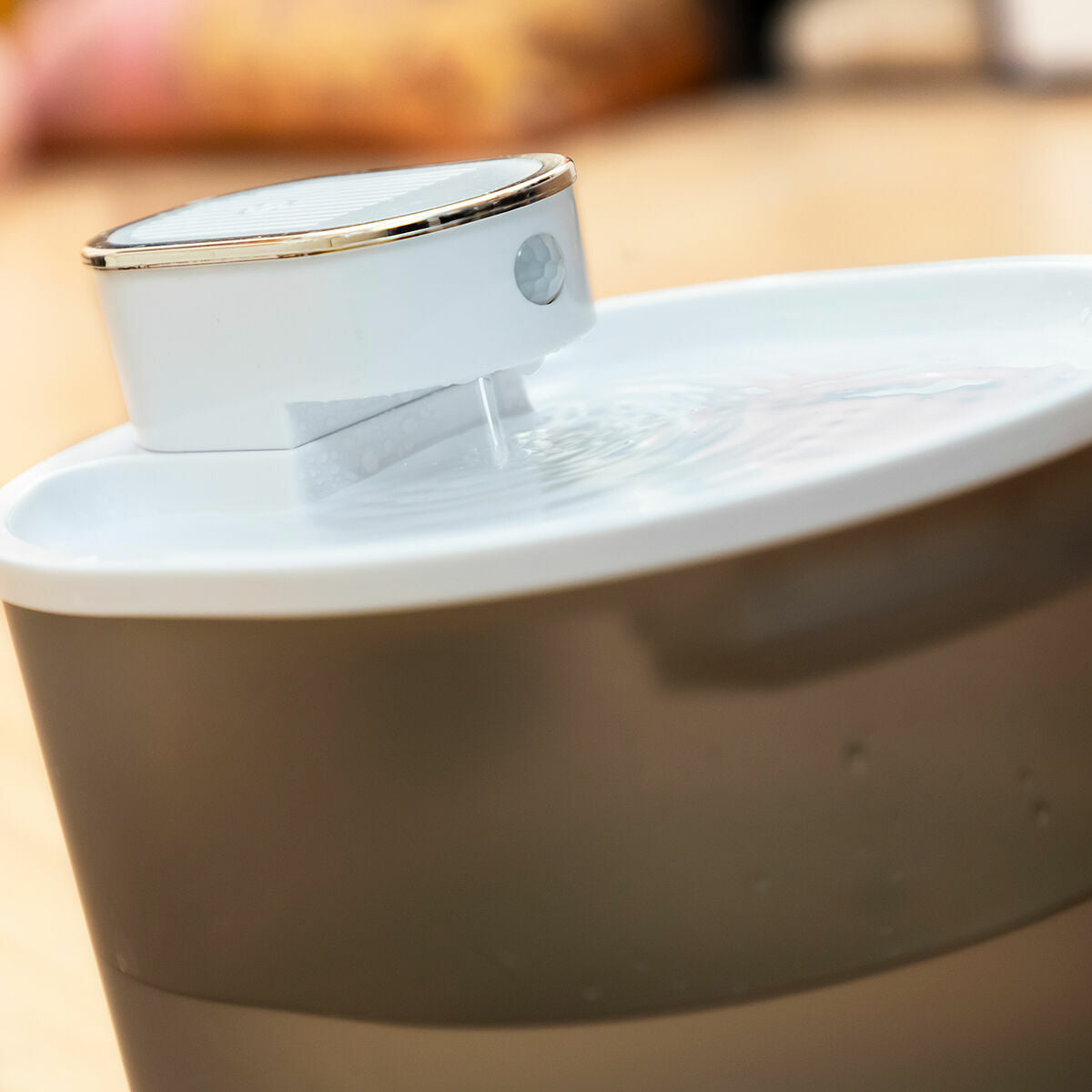 V2H88DE29DCADAE0664887A2E42327E6B27R7673465P3