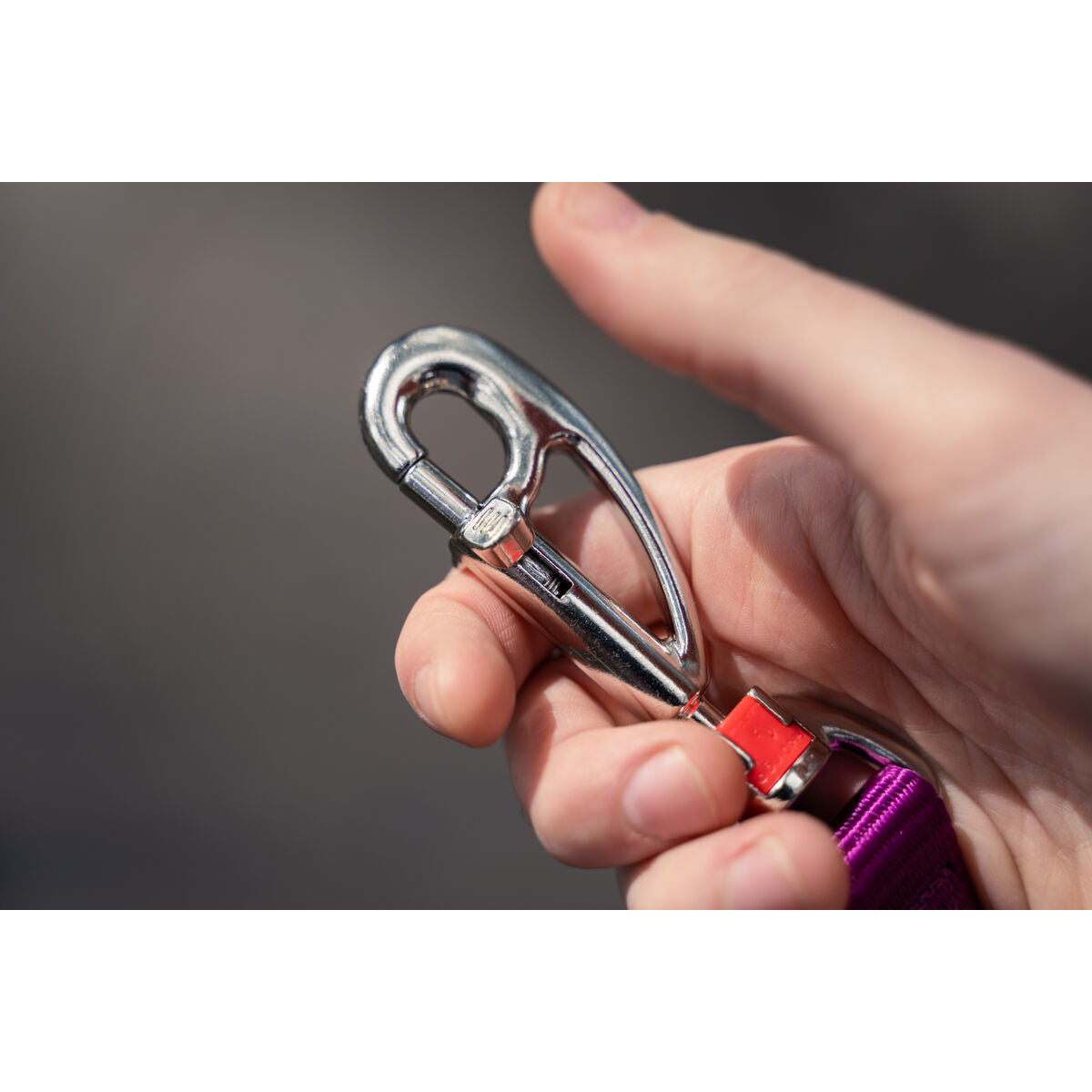 V7HBAC2B7FF74EE7C1E2E4CAF0FE8CC1C8DR3627704P4