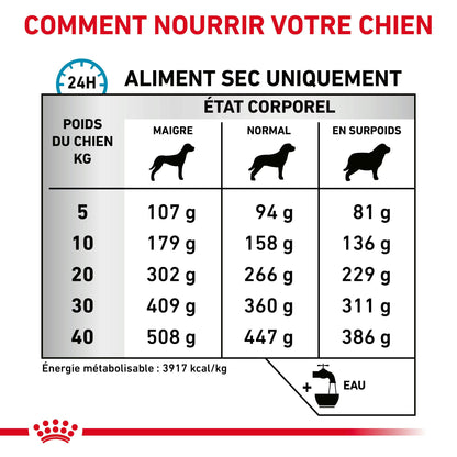 Royal Canin Veterinary Anallergenic dry dog food (kibble), 8 kg