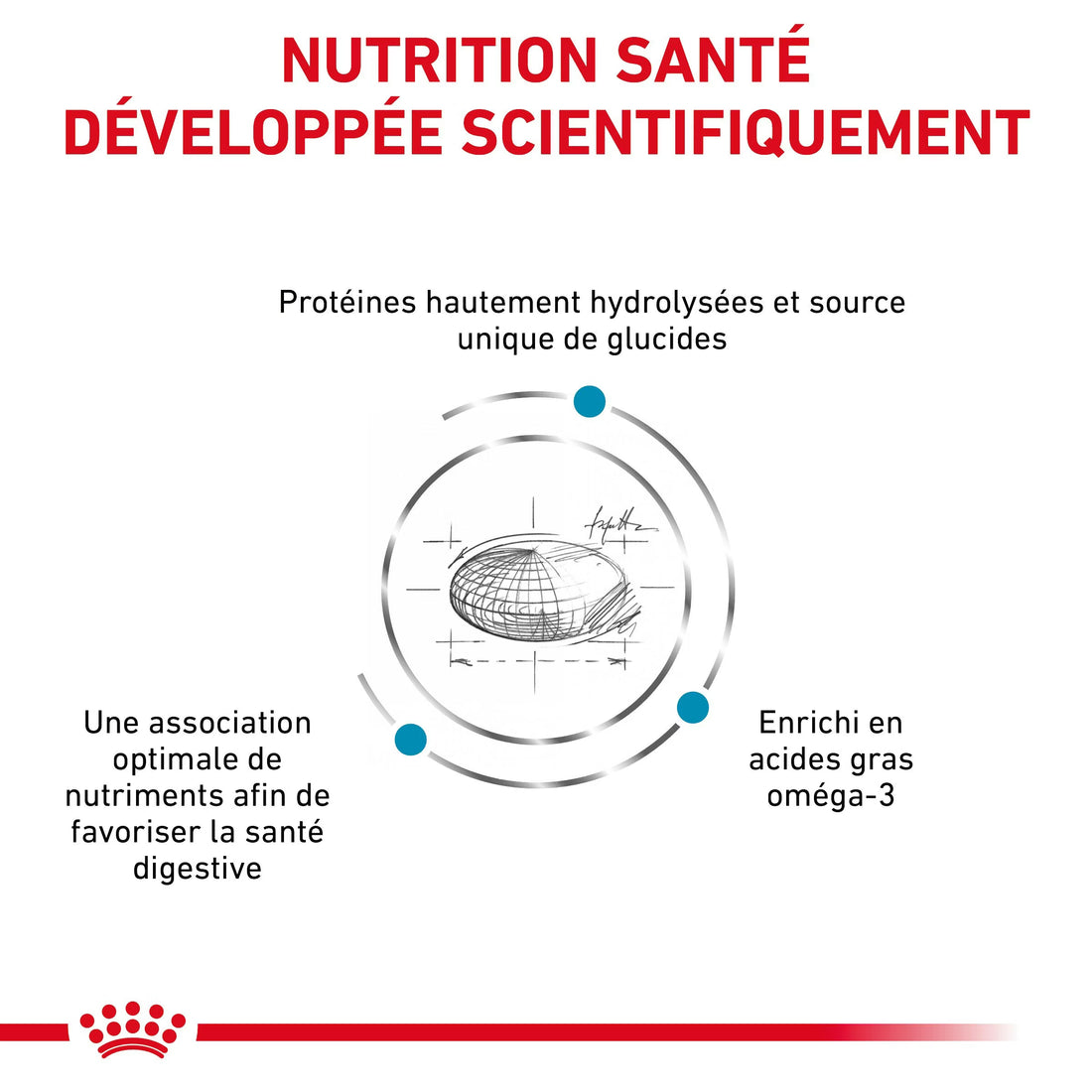Royal Canin Hypoallergenic Moderate Calorie Canine Dry Dog Food 14kg