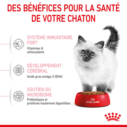 Royal Canin Kitten pour chaton