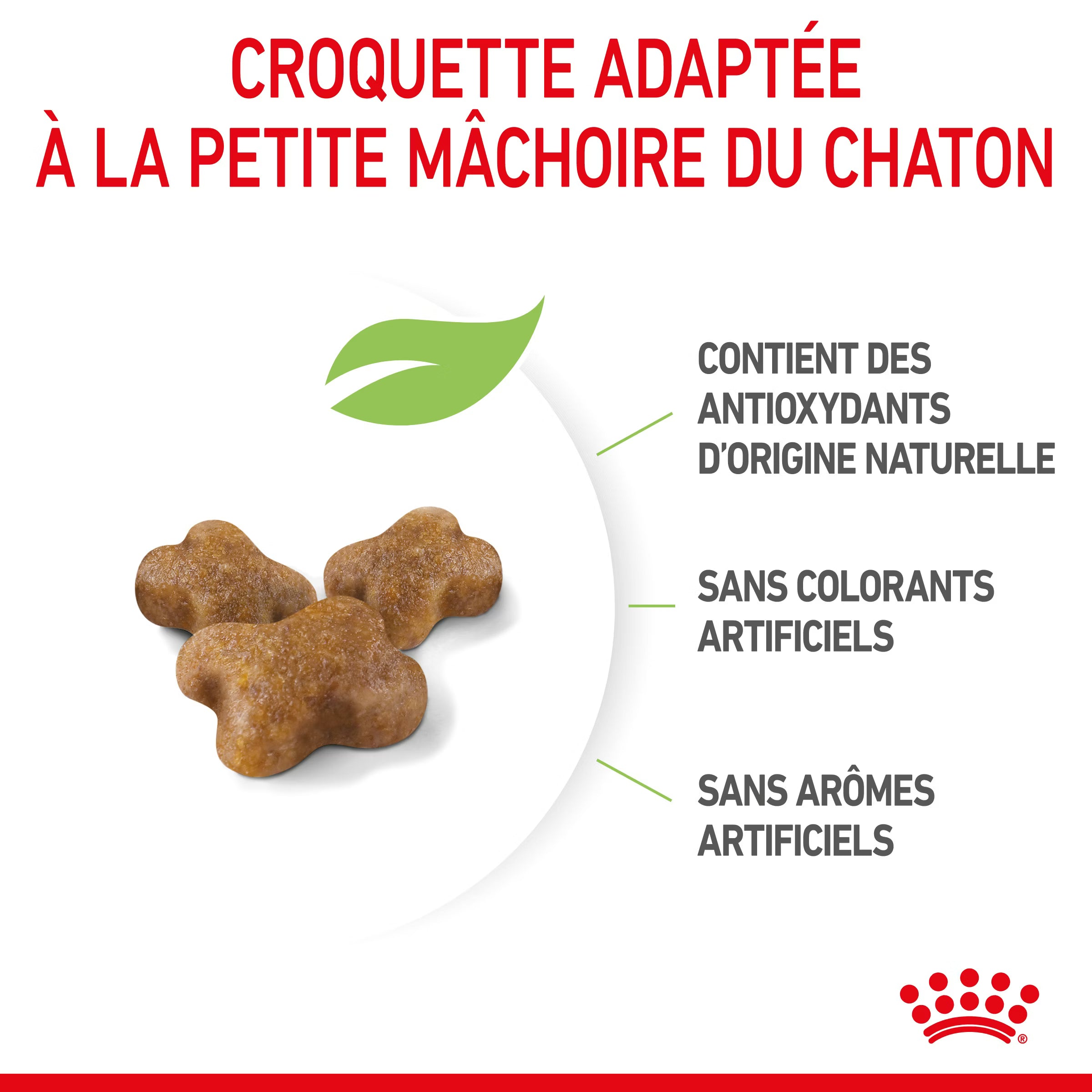 Royal Canin Kitten pour chaton