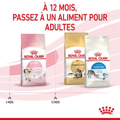 Royal Canin Kitten pour chaton