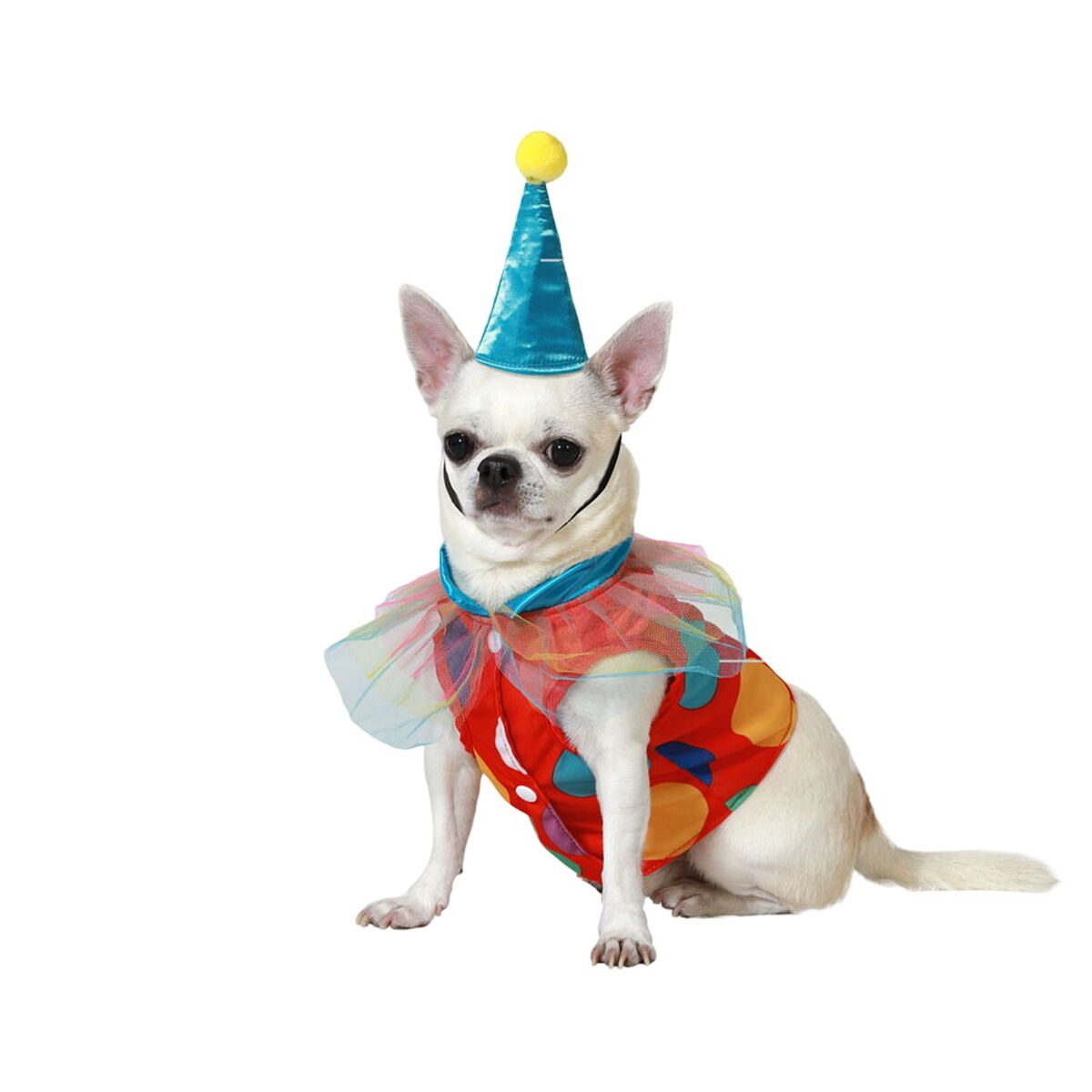 V8H5C4116BDD74ABBEED0684EE007473452R5072384P1